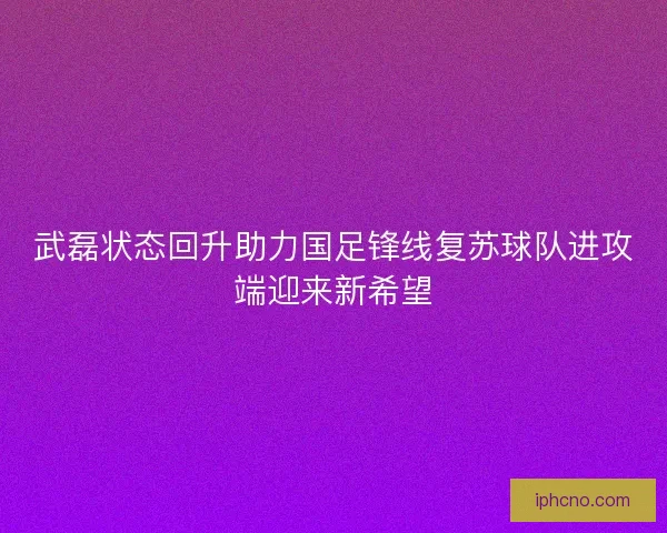 武磊状态回升助力国足锋线复苏球队进攻端迎来新希望